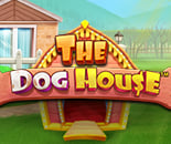 The Dog House