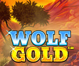 Wolf Gold